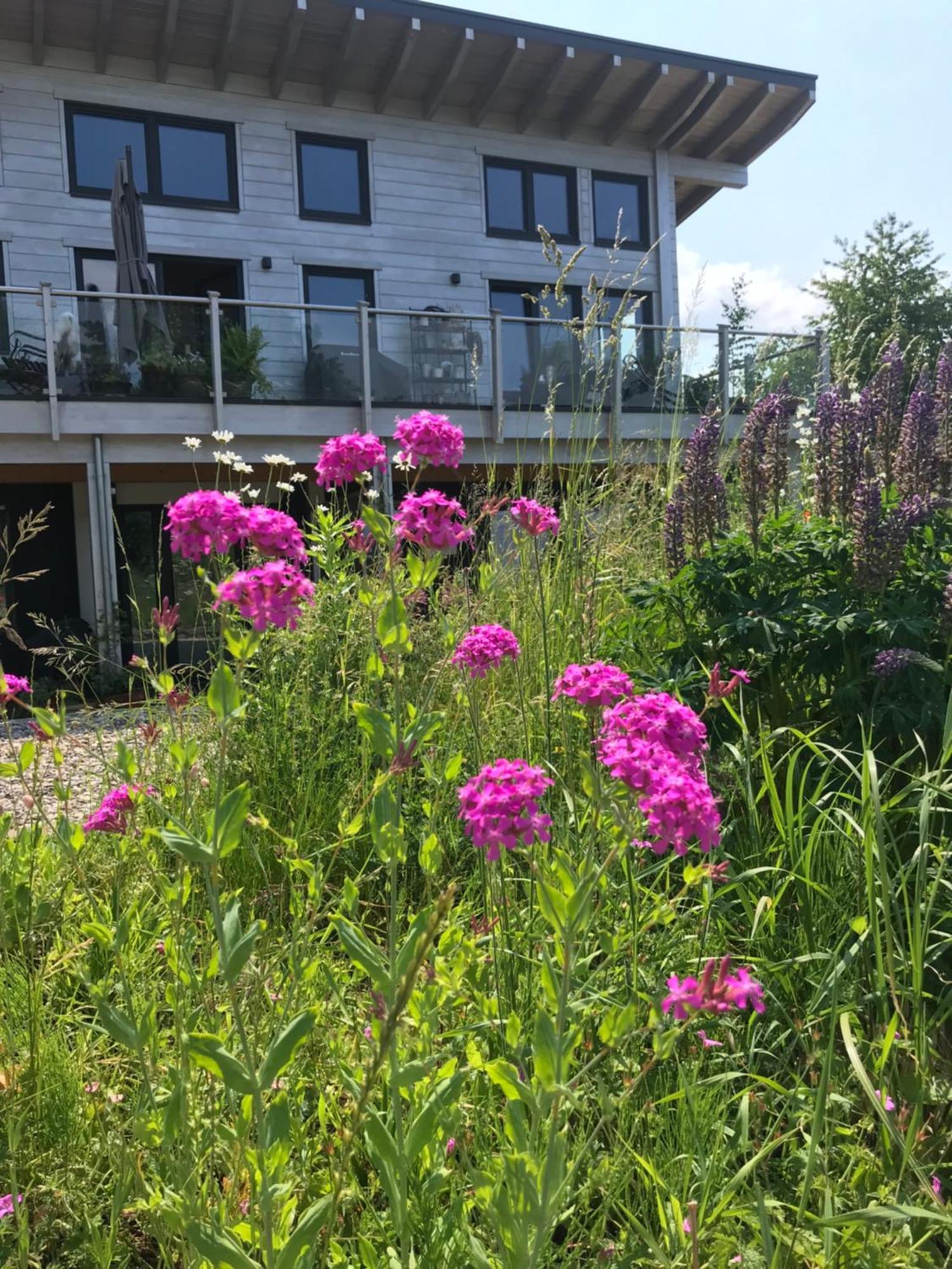 Appartement Im Wanderparadies Siebengebirge